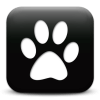 Captcha image 3810